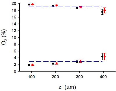 Fast cycling of intermittent hypoxia in a physiomimetic 3D environment: A novel tool for the study of the parenchymal effects of sleep apnea